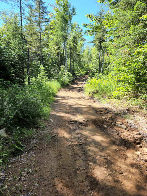 Chemin de terre en montagne